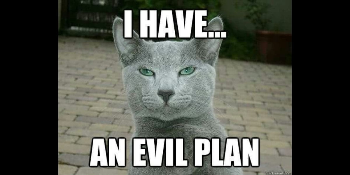 A smug cat meme with text that reads, "I have...an evil plan," de...