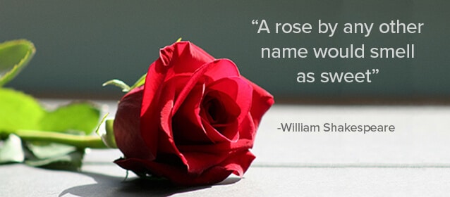 would a rose by any other name